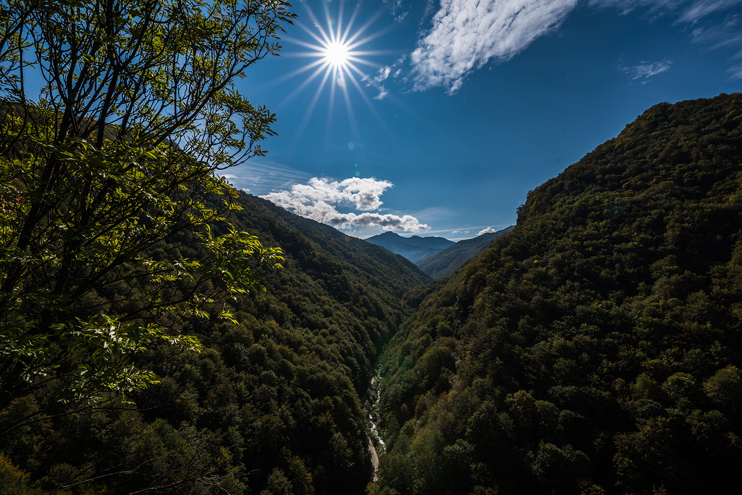 Munții Retezat