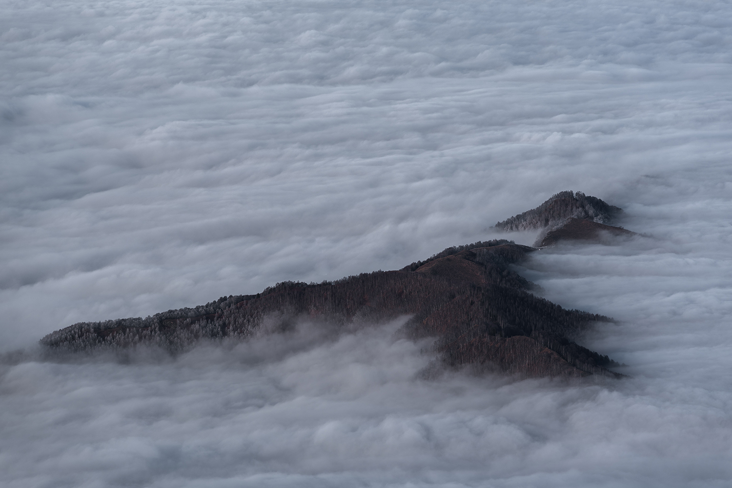  Carpații Meridionali