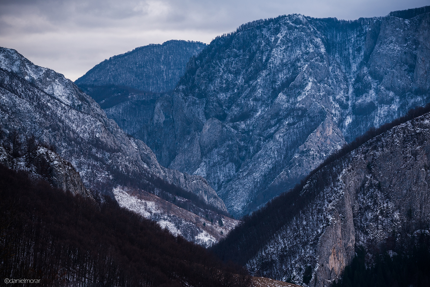 Munții Trascăului