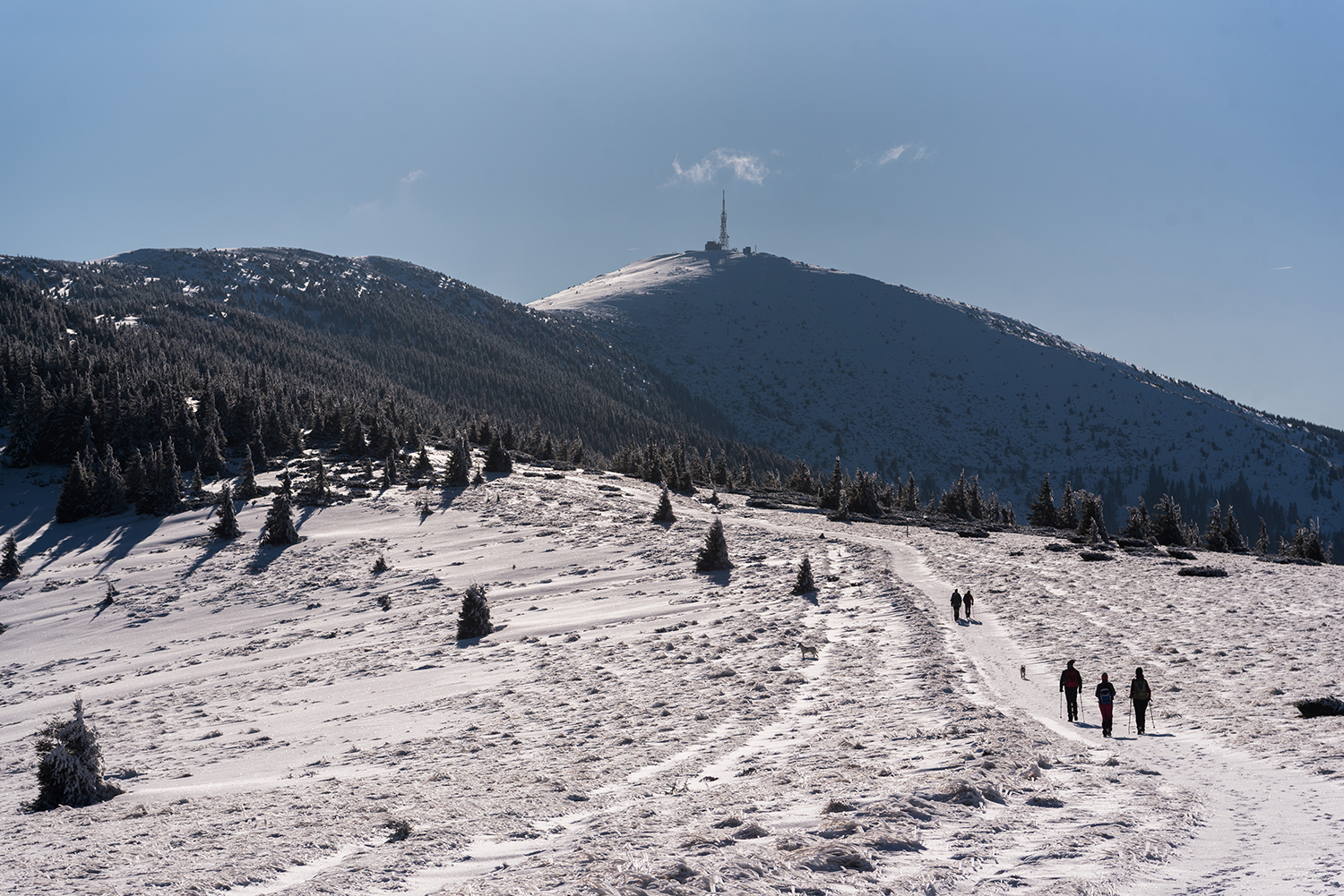 Munții Bihor