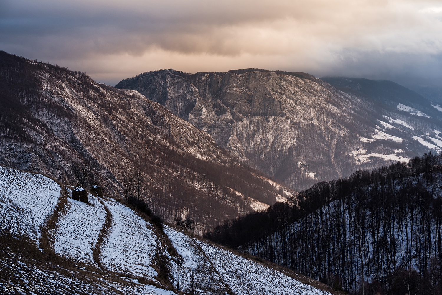 Munții Trascăului