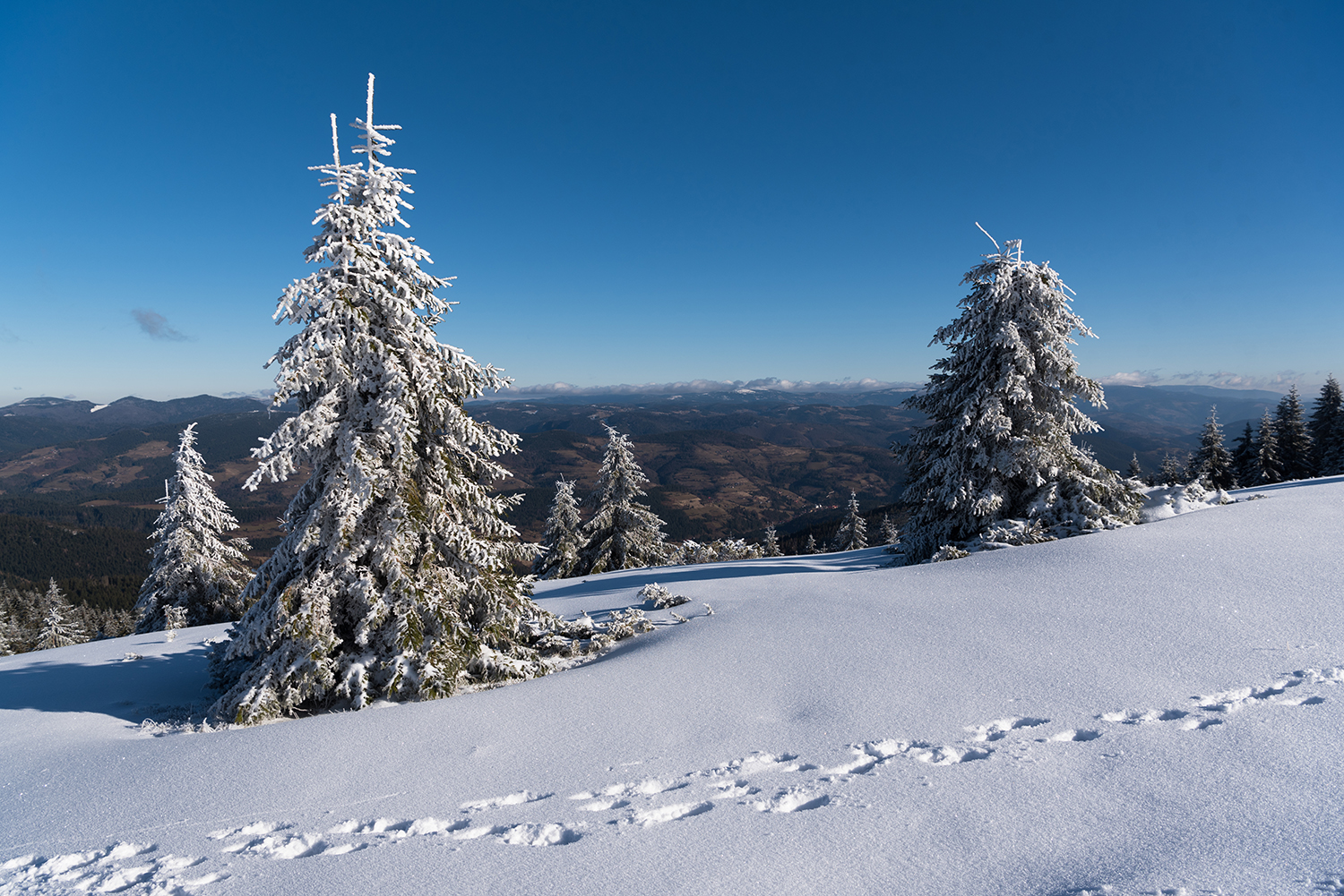 Munții Bihor