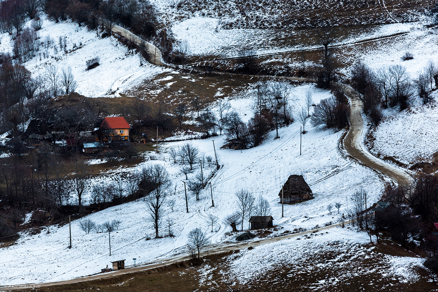 Munții Trascăului