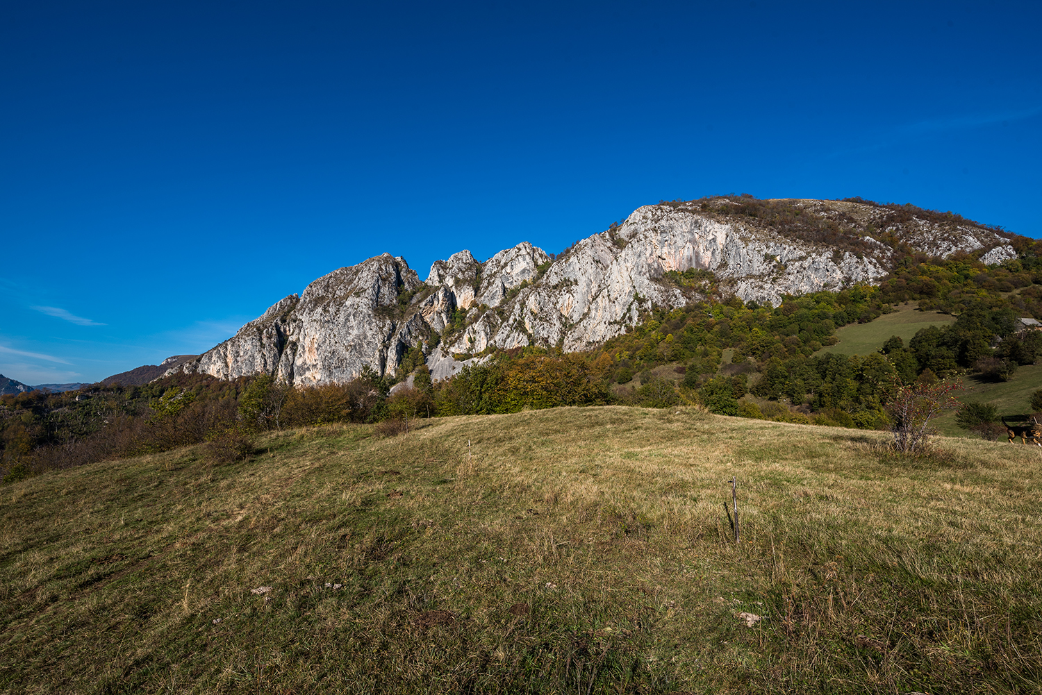 Munții Trascău