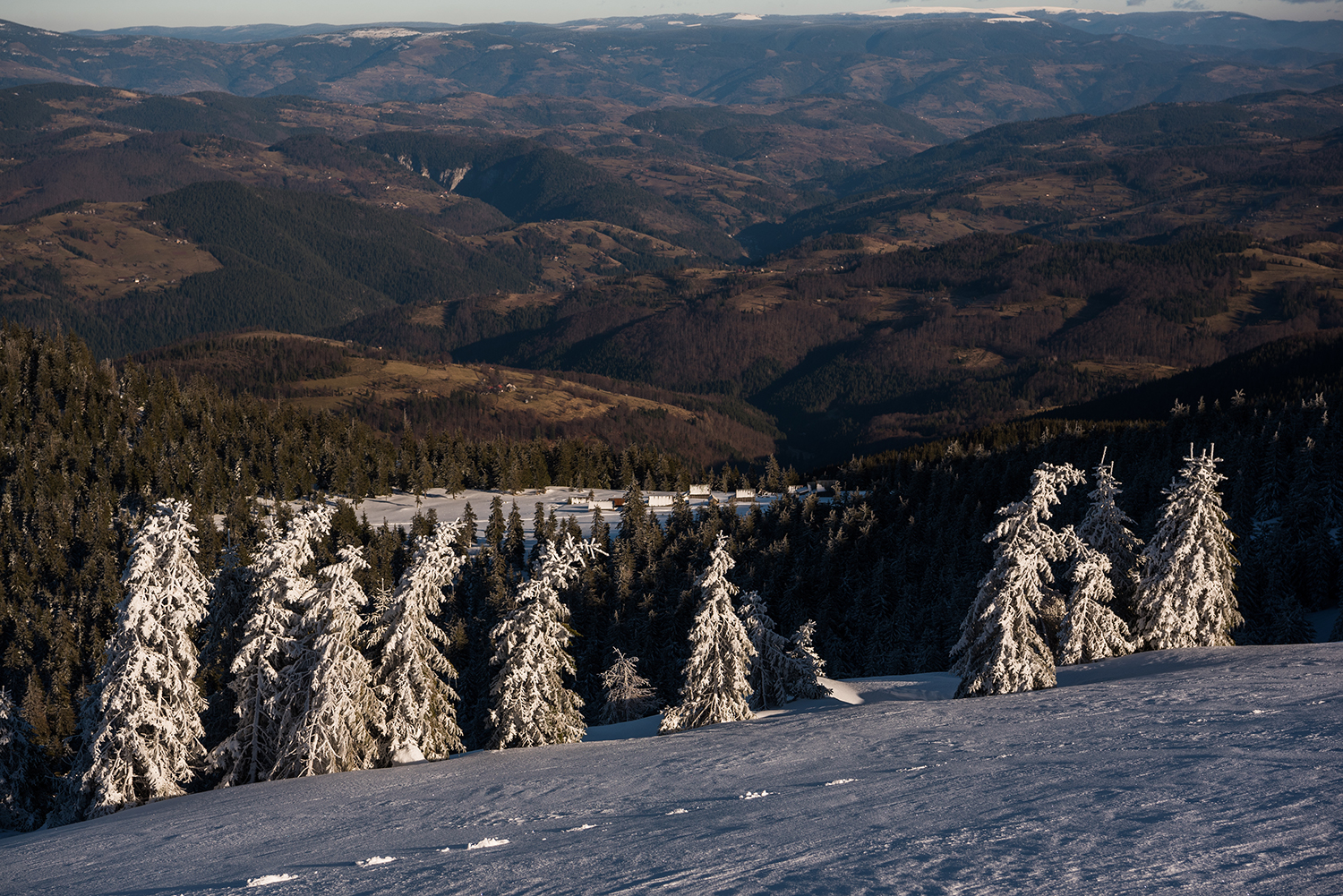 Munții Bihor