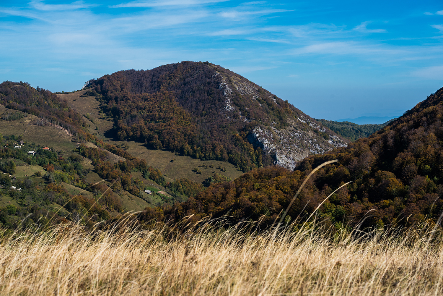 Munții Trascău