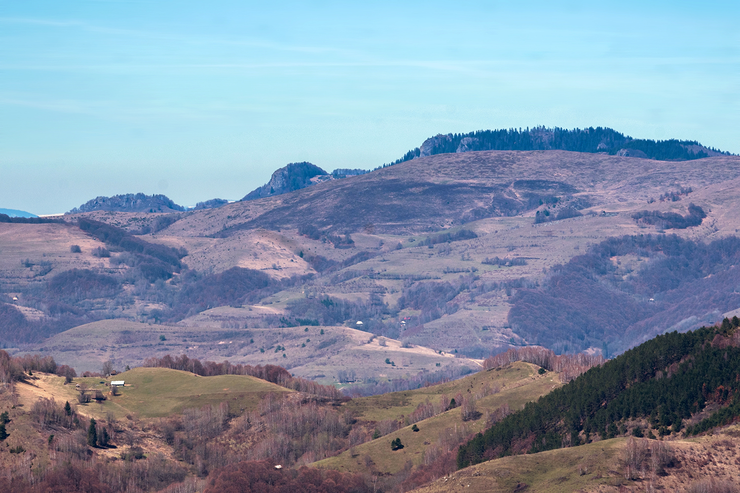 Munții Metaliferi