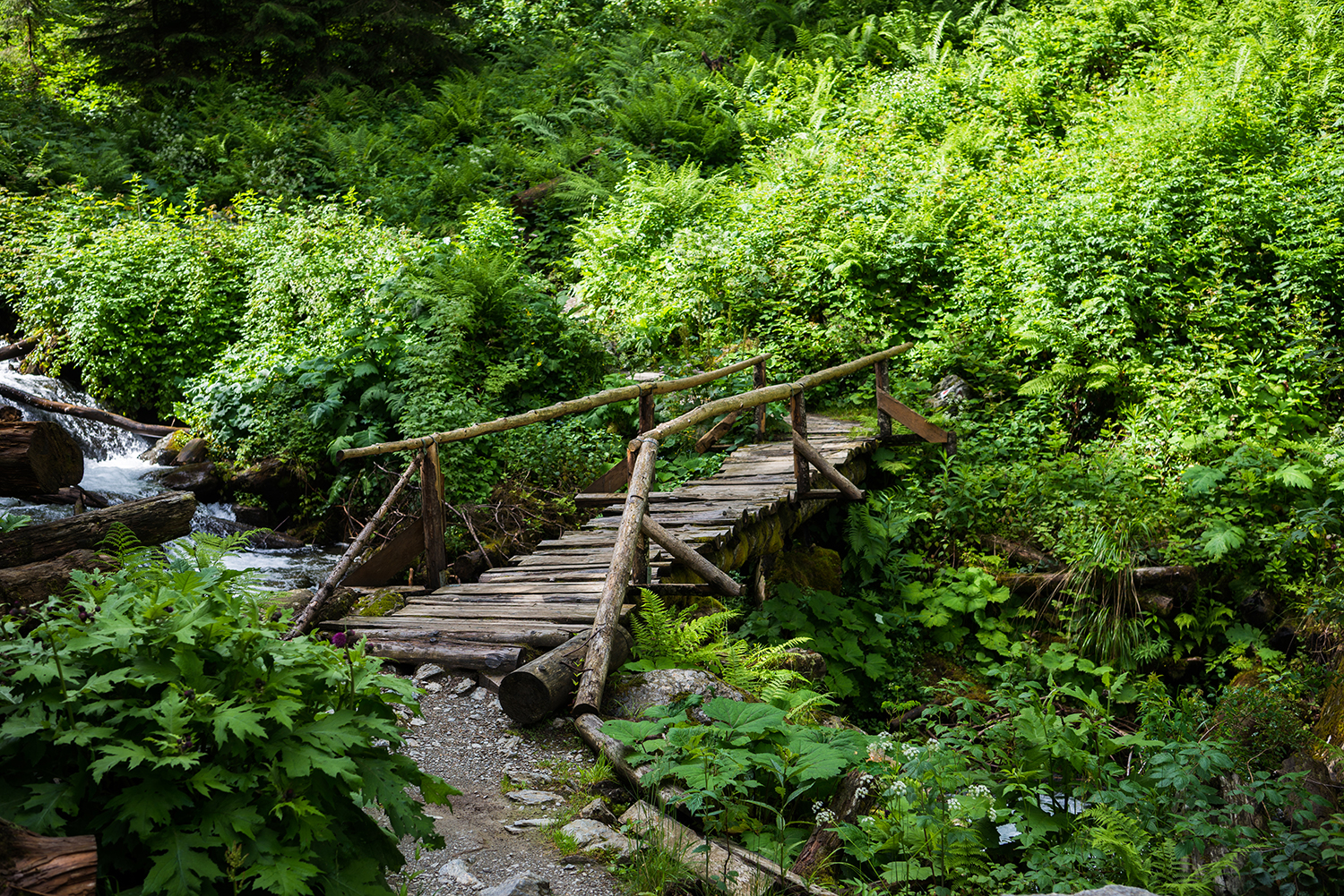  Munții Făgărașului