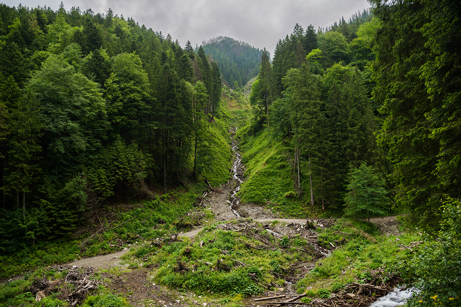  Munții Făgărașului