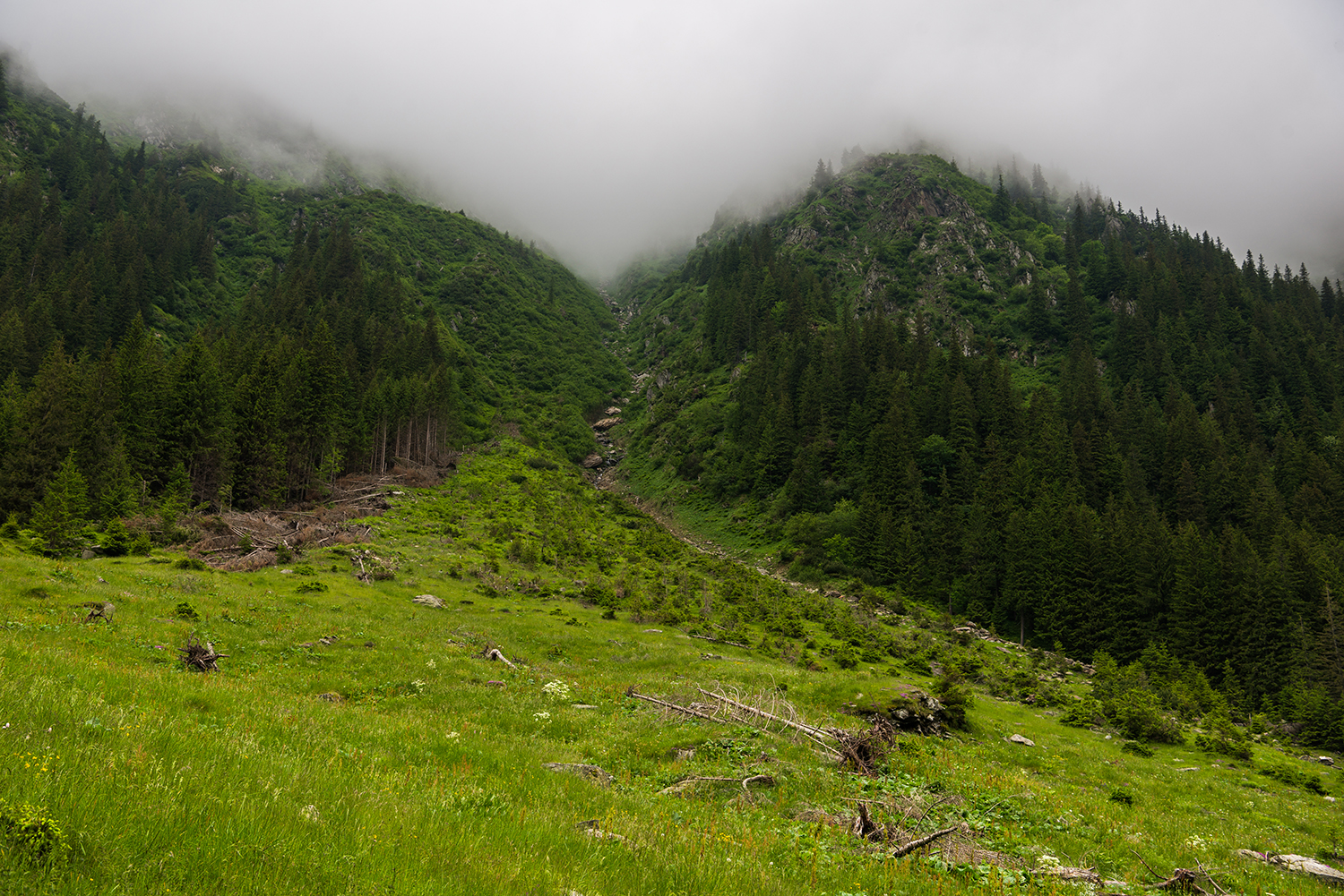  Munții Făgărașului