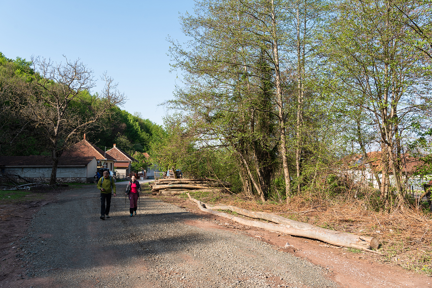  Munții Bihor