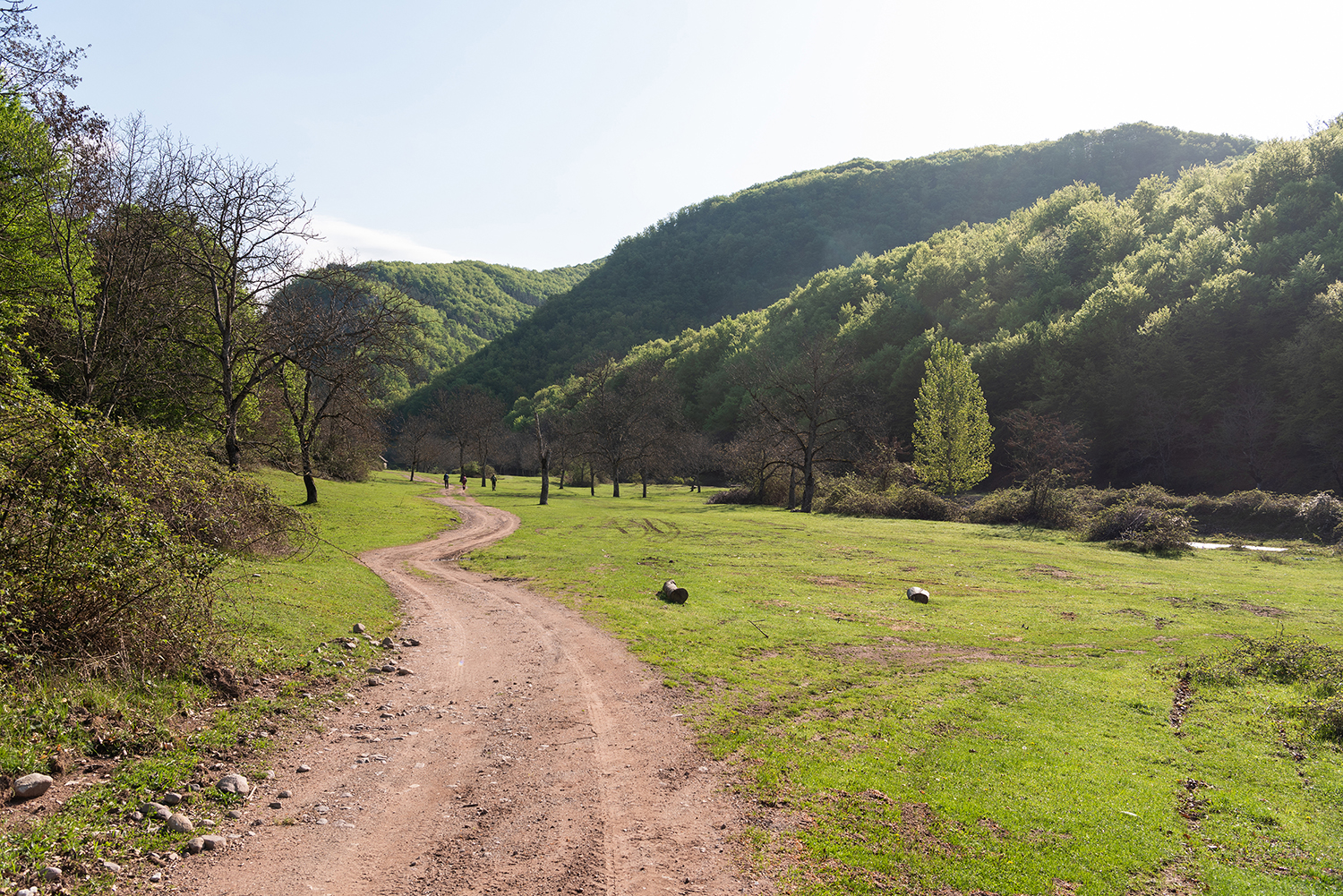 Munții Bihor