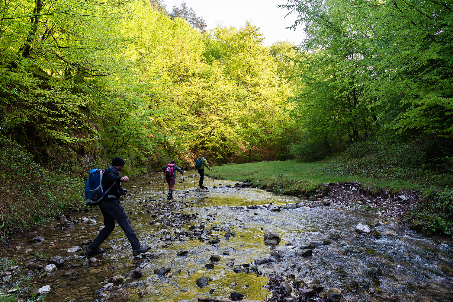 Munții Bihor