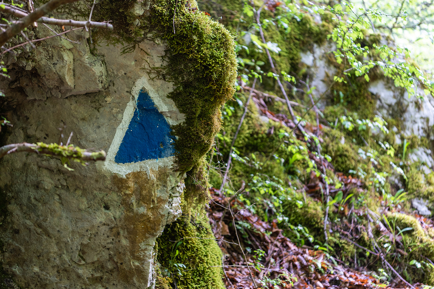 Munții Bihor