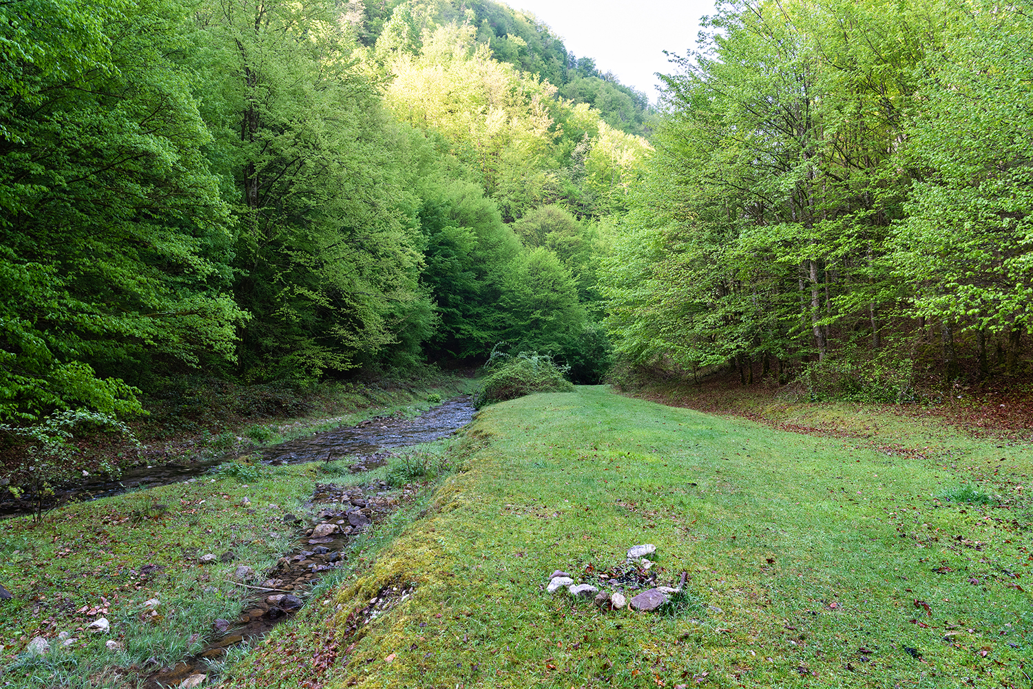 Munții Bihor