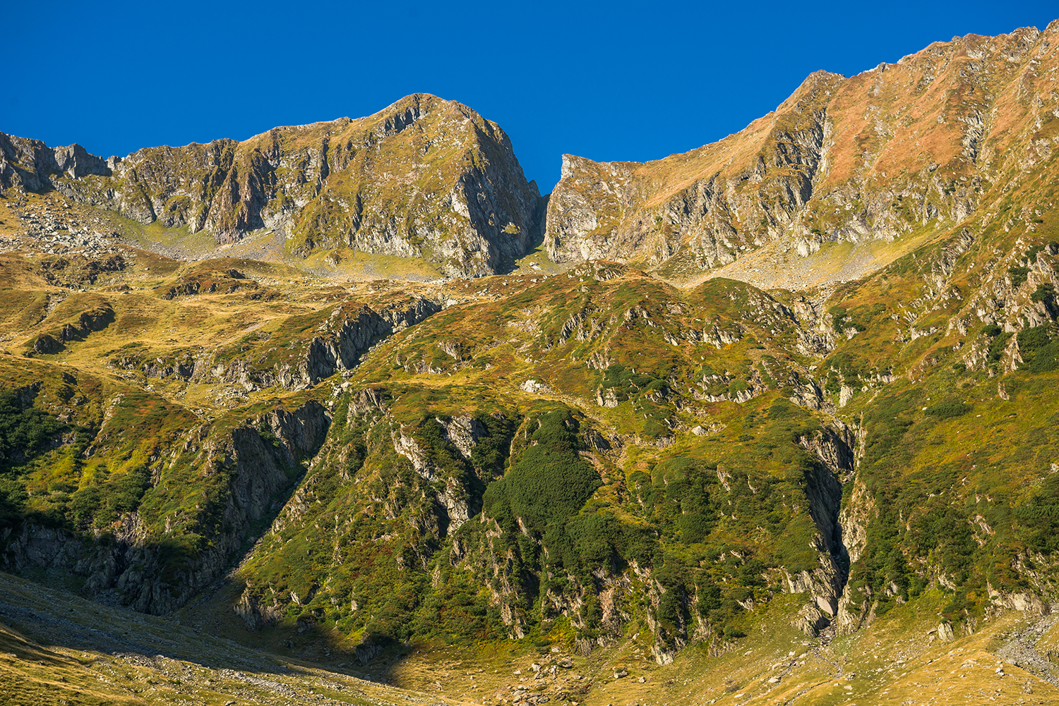 Munții Făgărașului