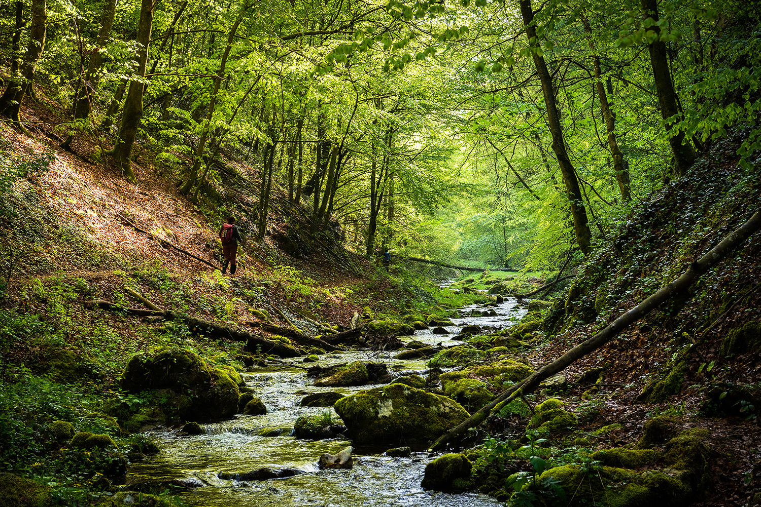  Munții Bihor