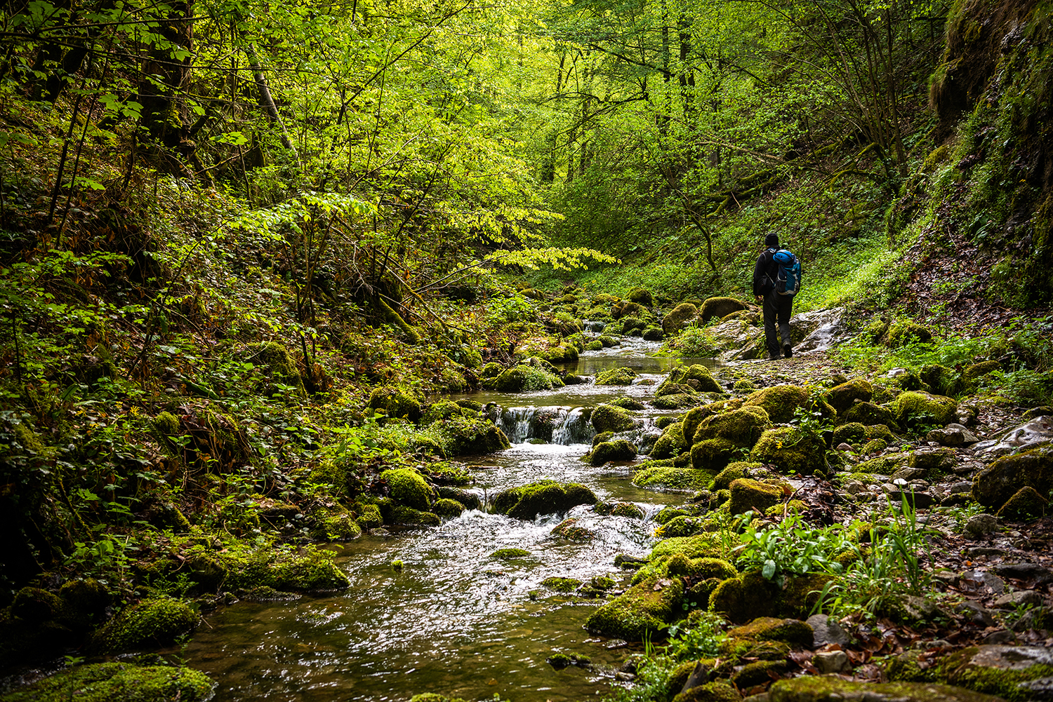 Munții Bihor