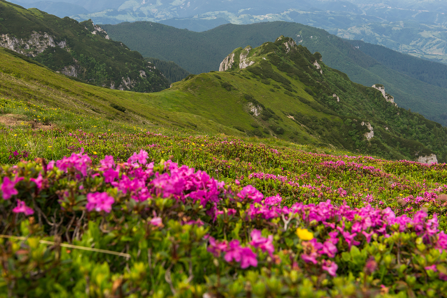  Munții Bucegi