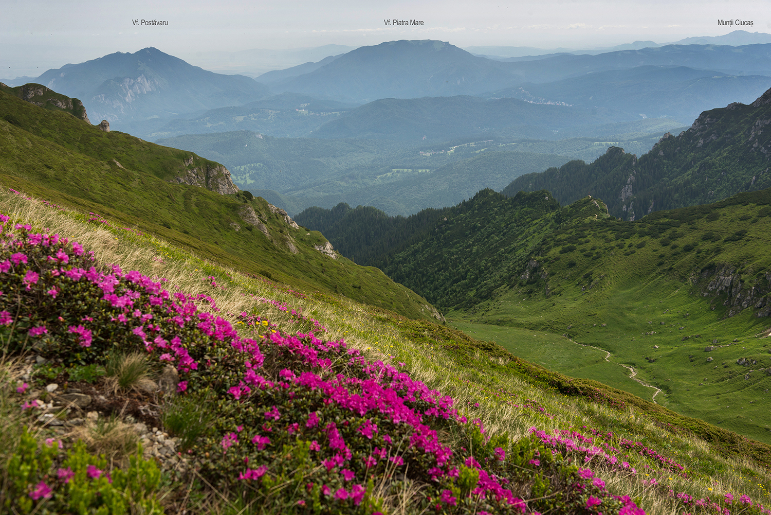  Munții Bucegi