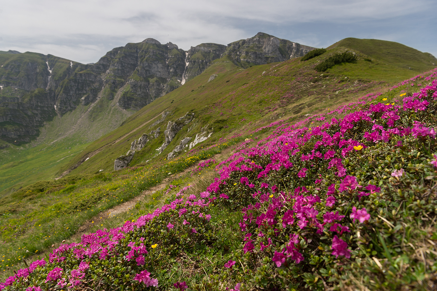  Munții Bucegi