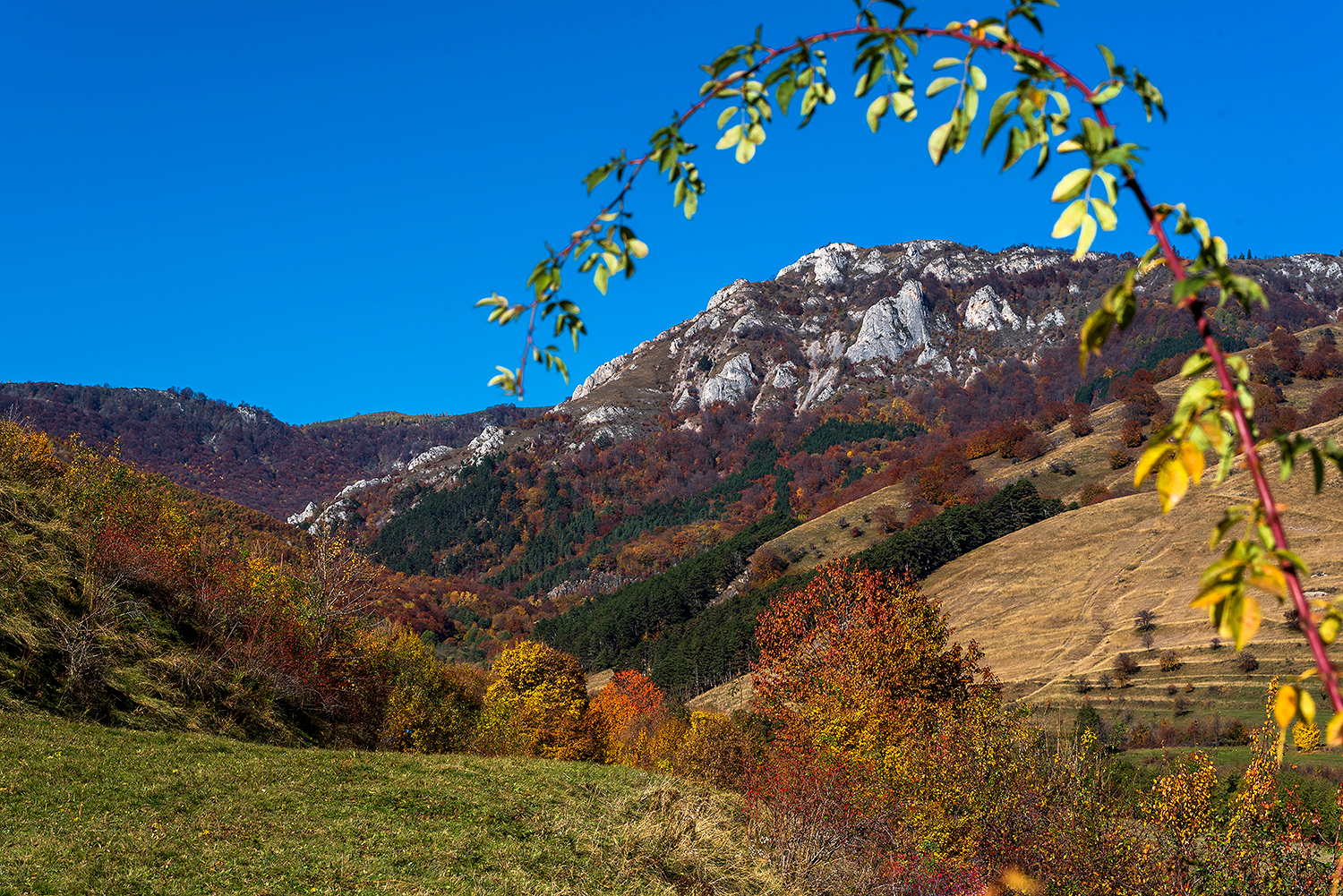 Trascău - toamna