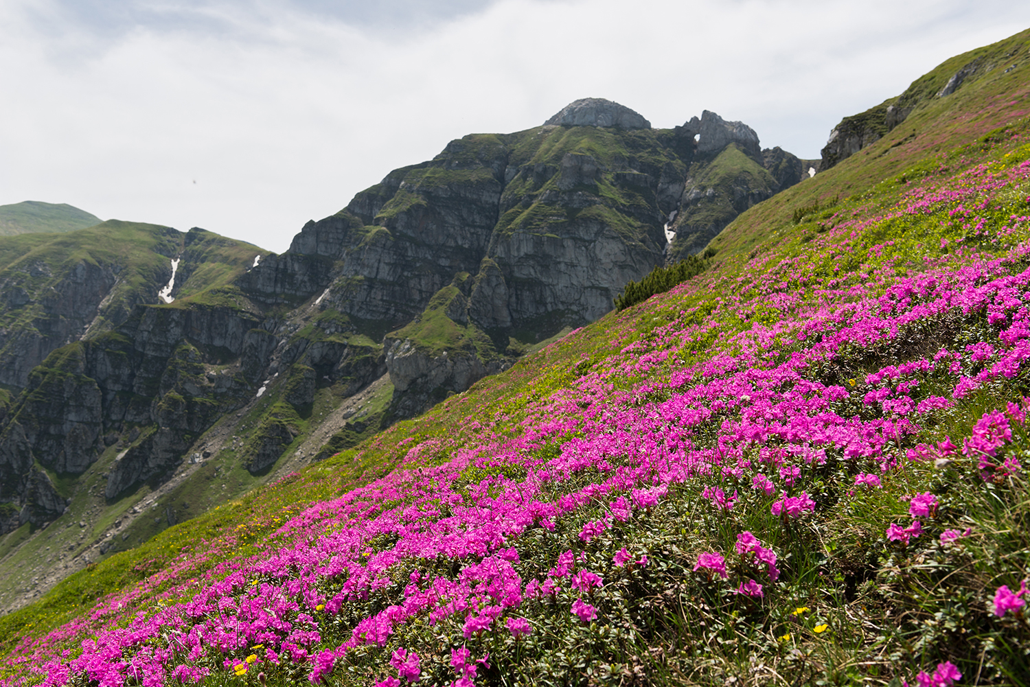 Munții Bucegi