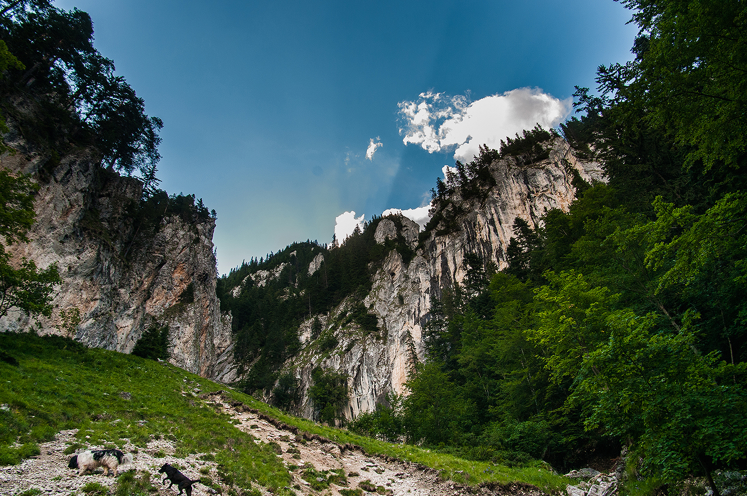  Piatra Craiului