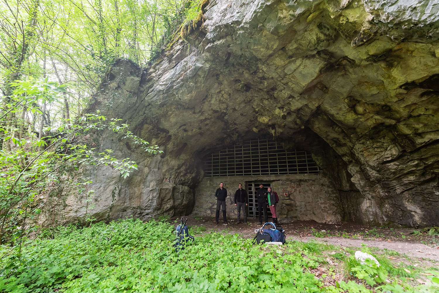 Munții Bihor