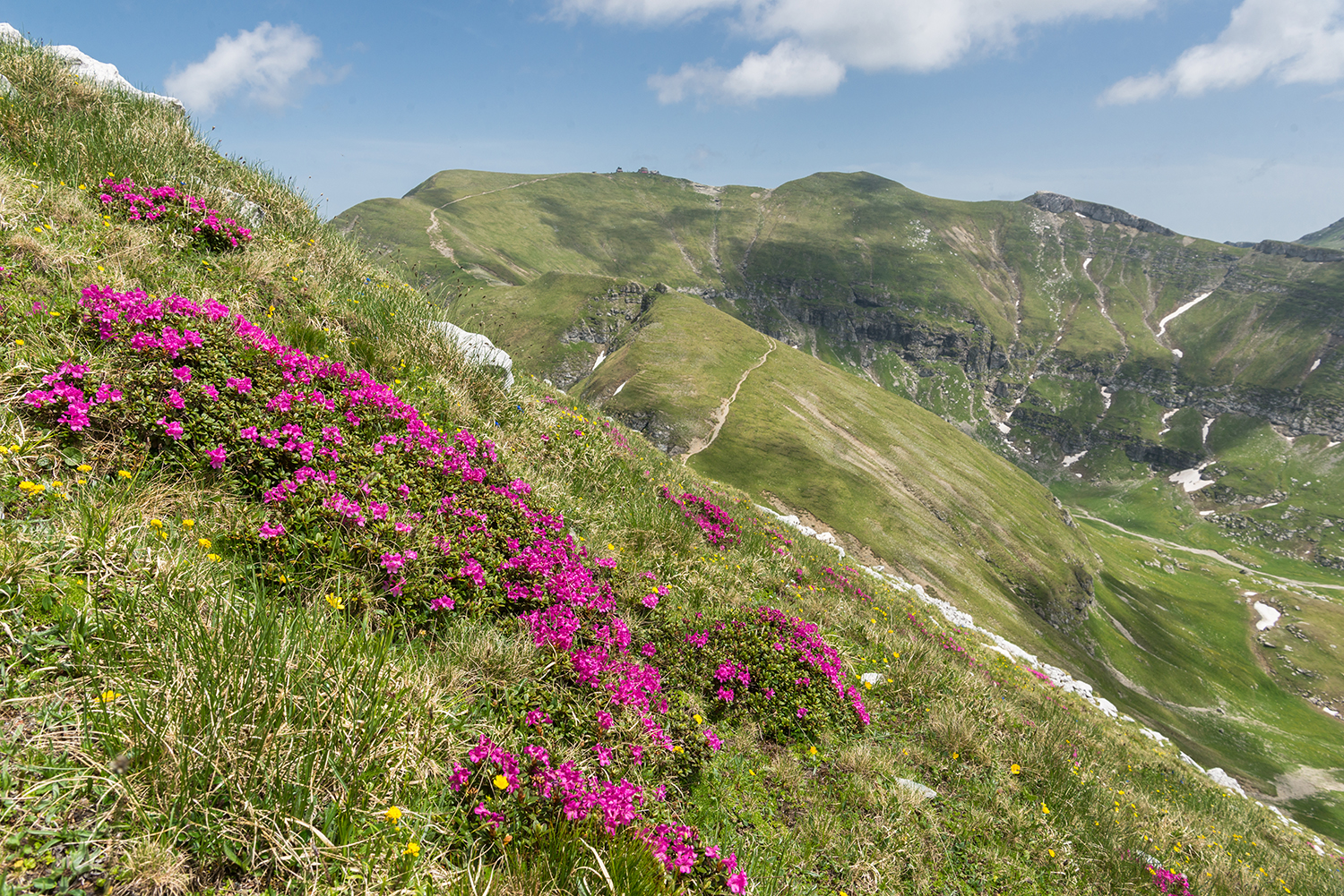  Munții Bucegi