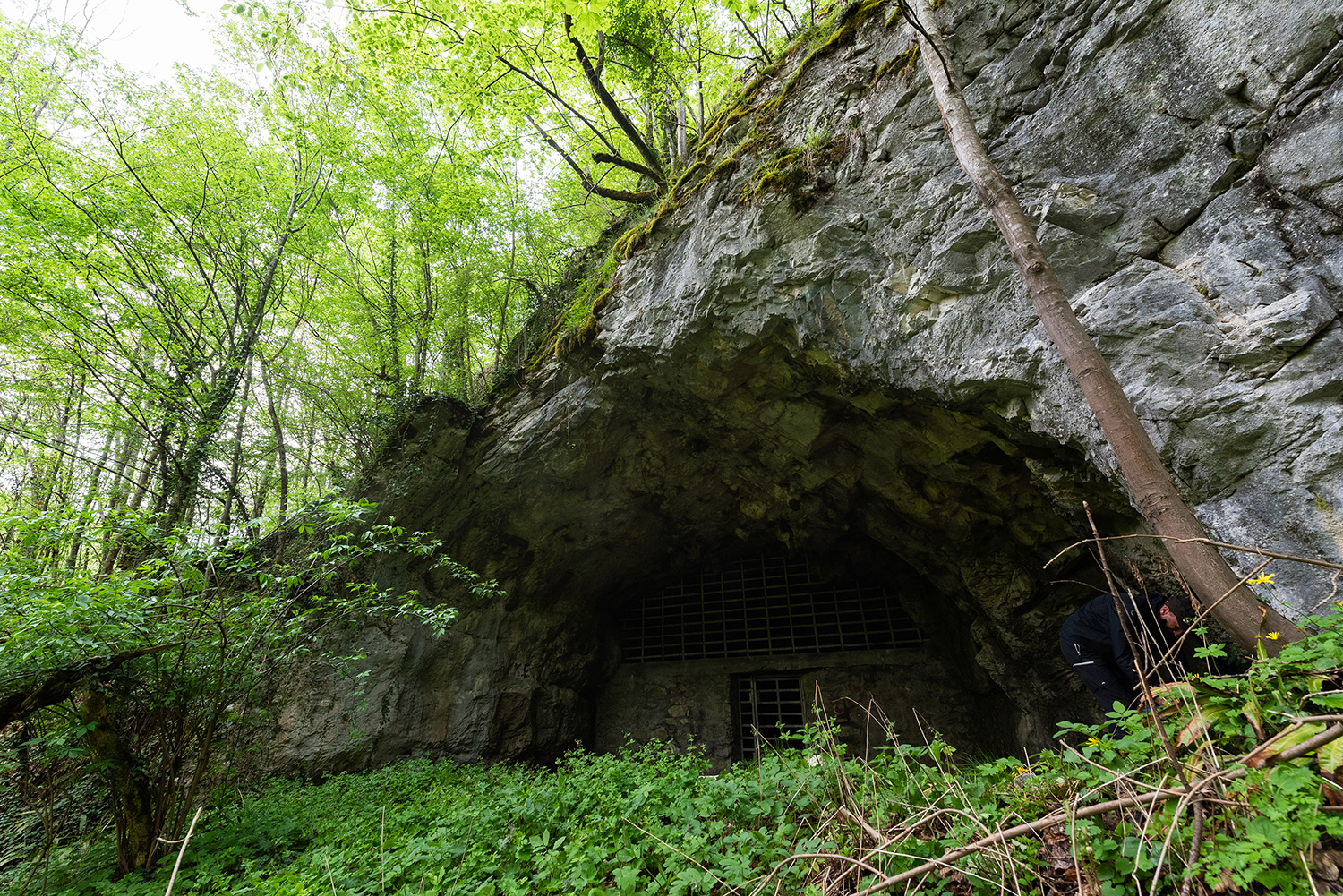 Munții Bihor