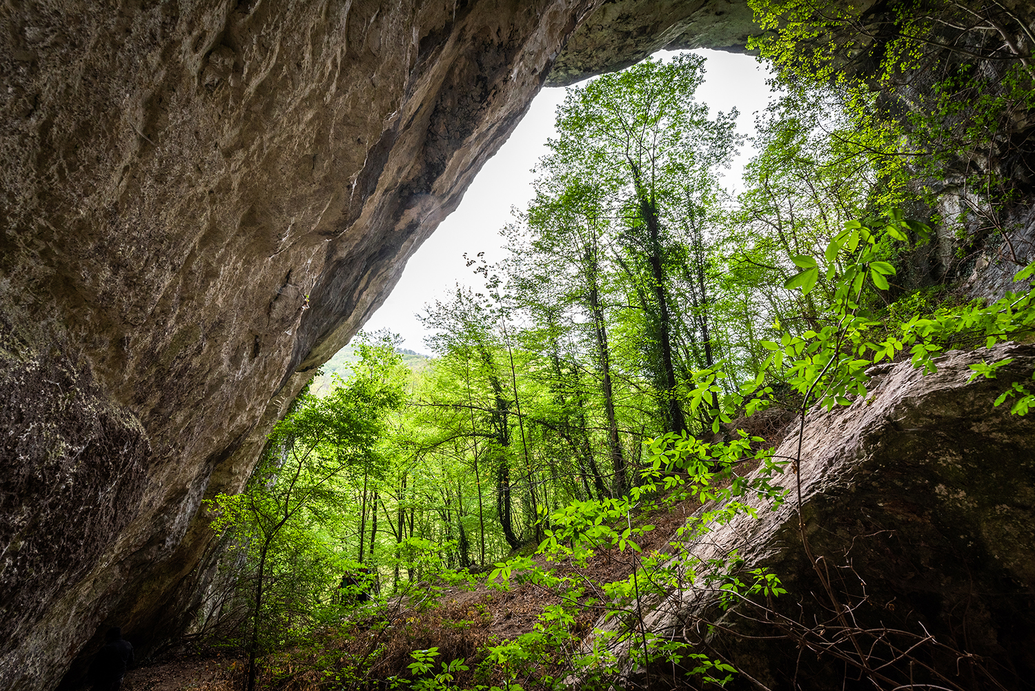 Munții Bihor