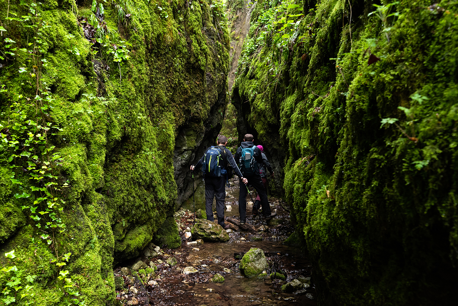 Munții Bihor