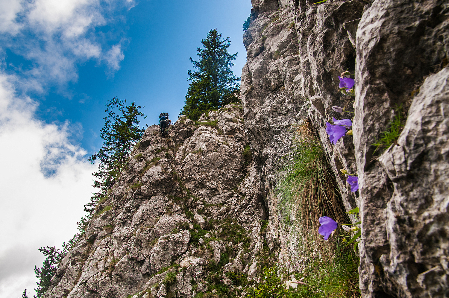 Piatra Craiului