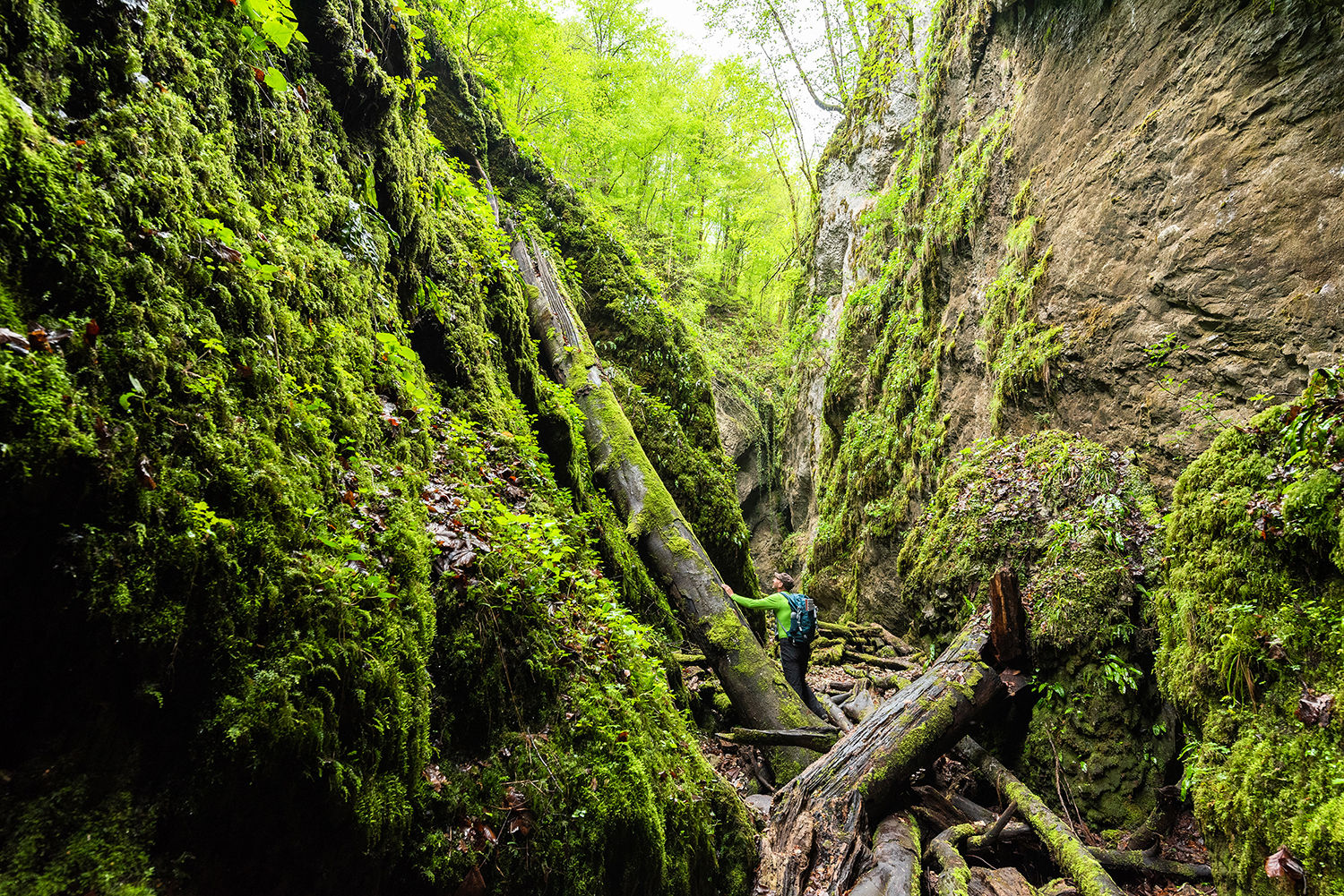 Munții Bihor