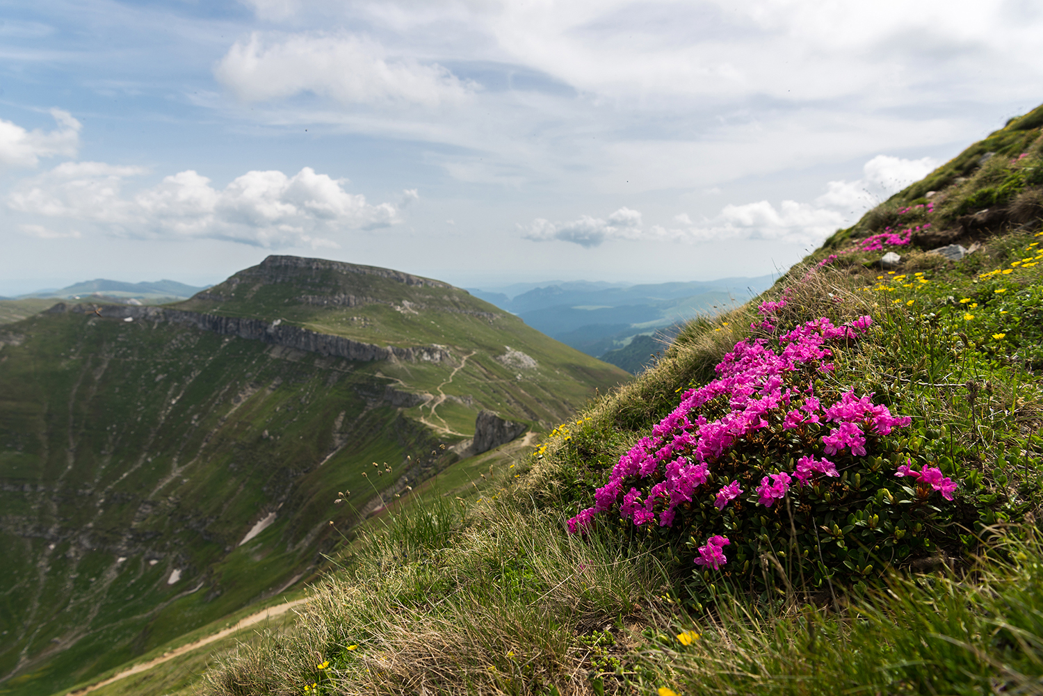  Munții Bucegi