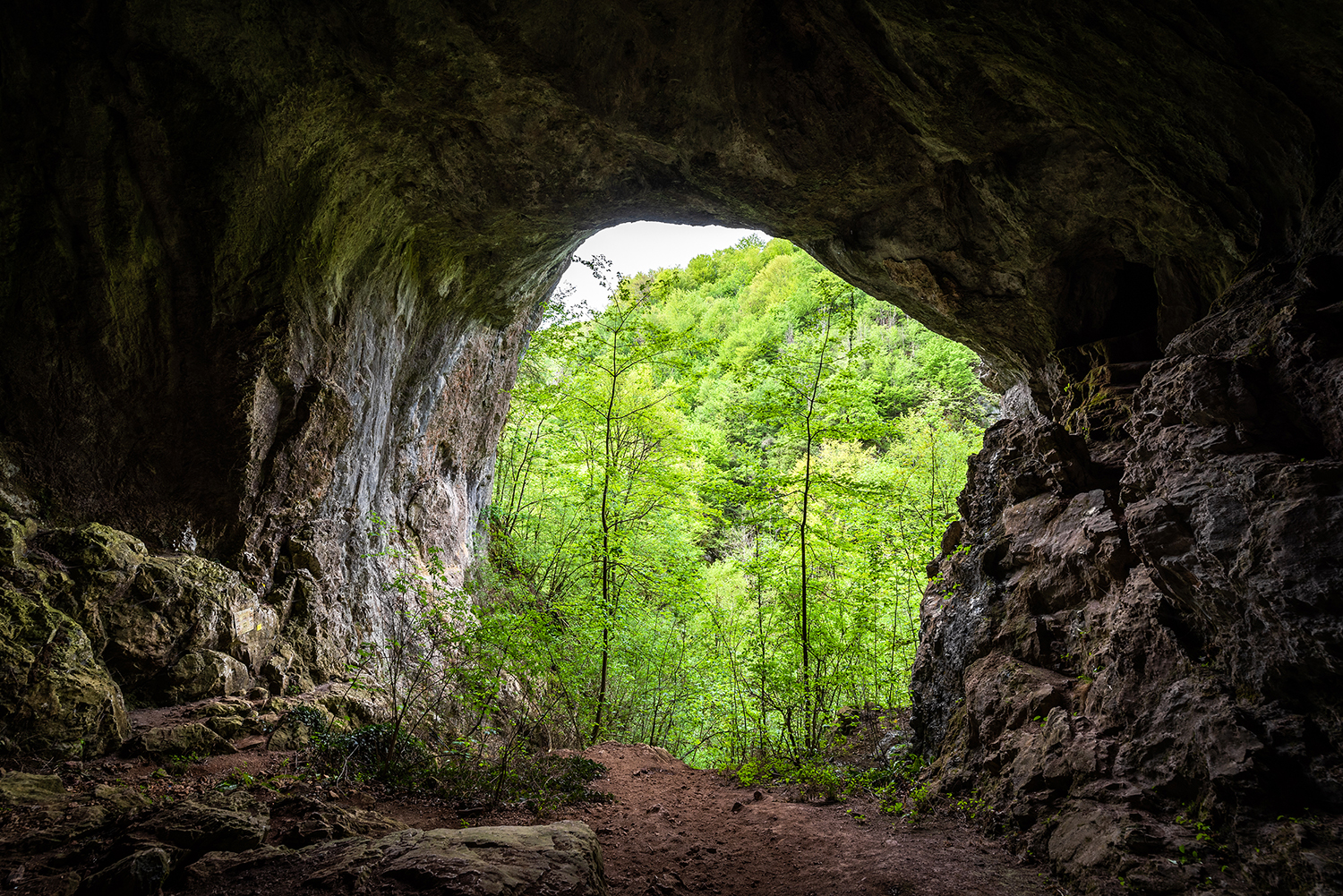 Munții Bihor