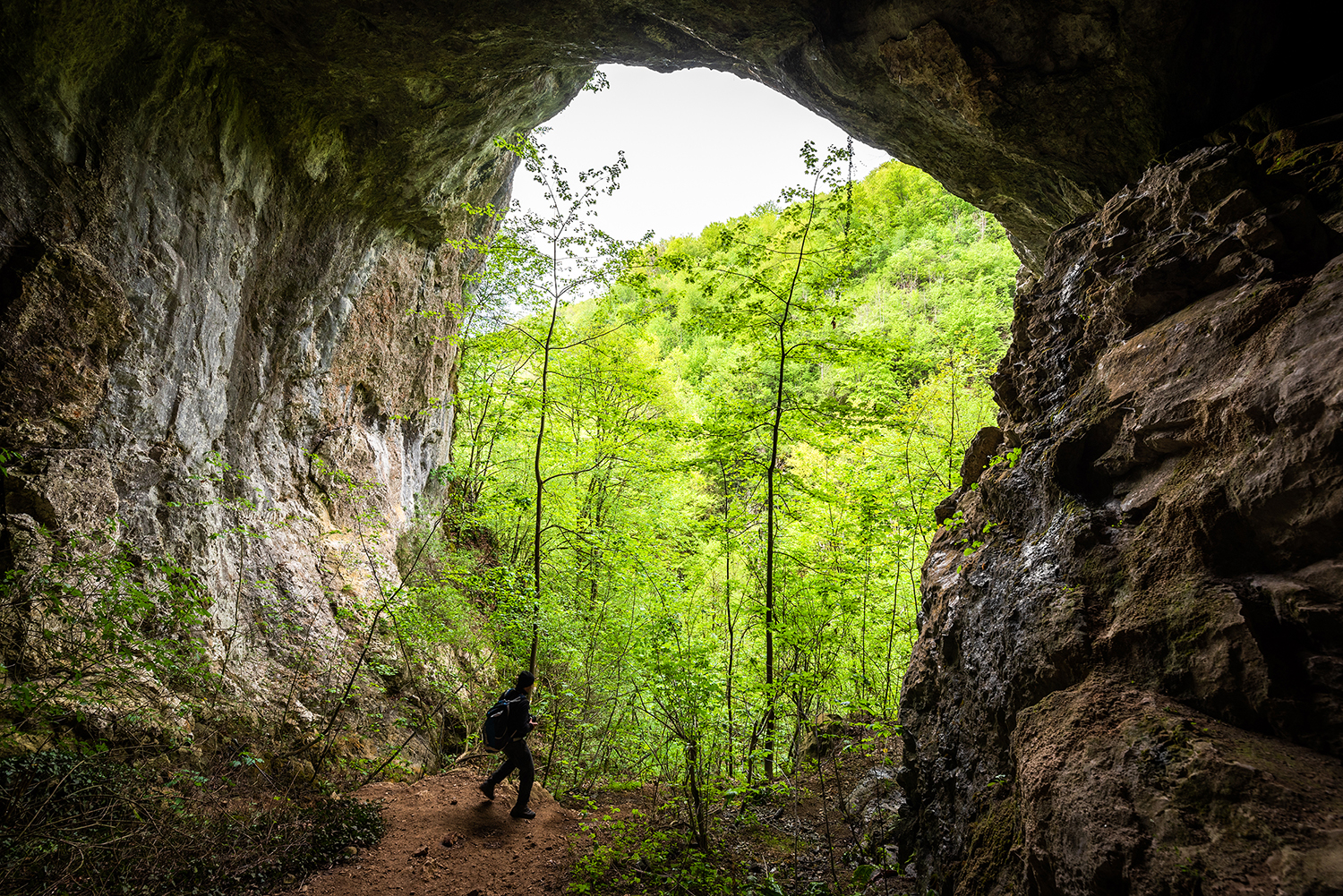 Munții Bihor