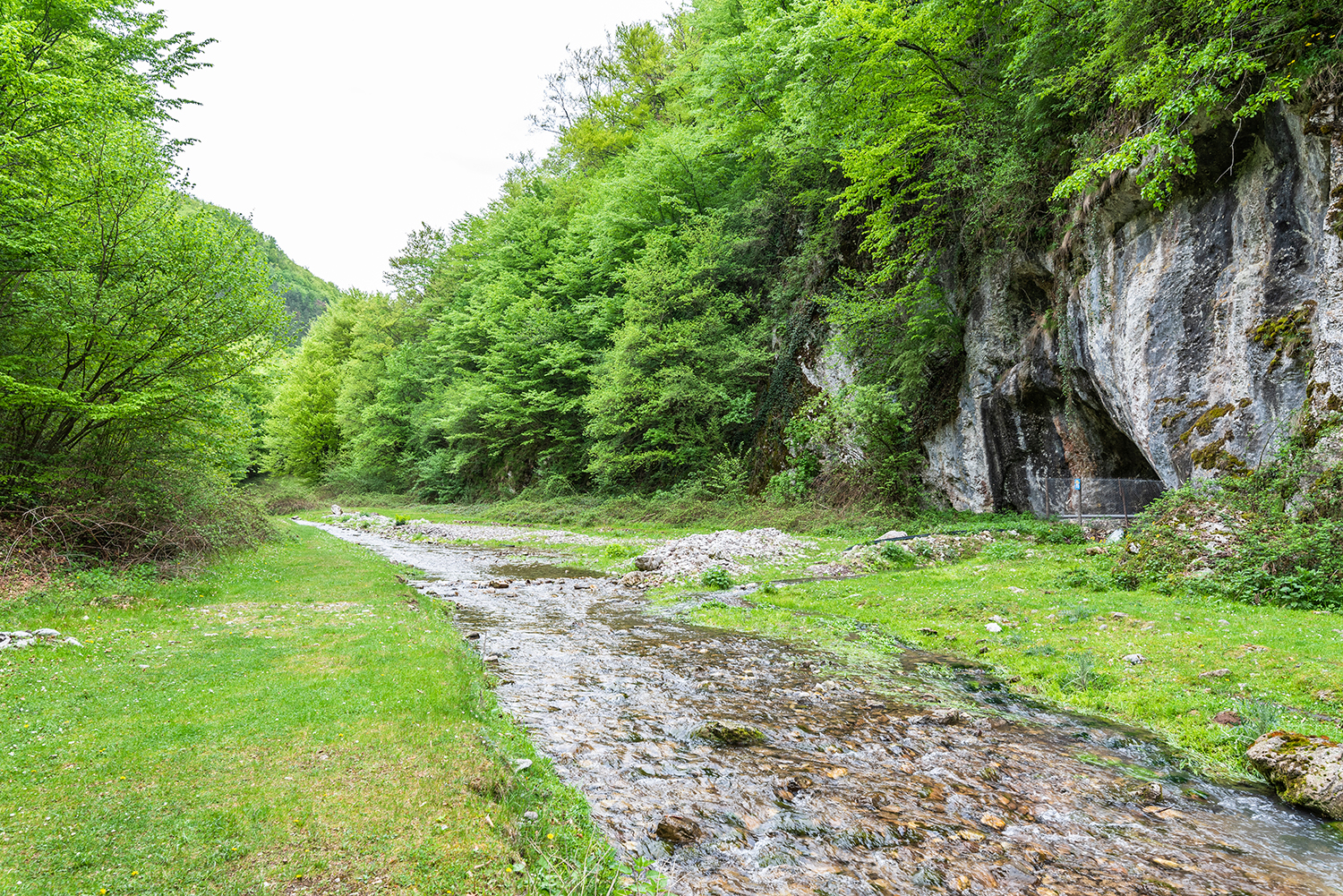  Munții Bihor