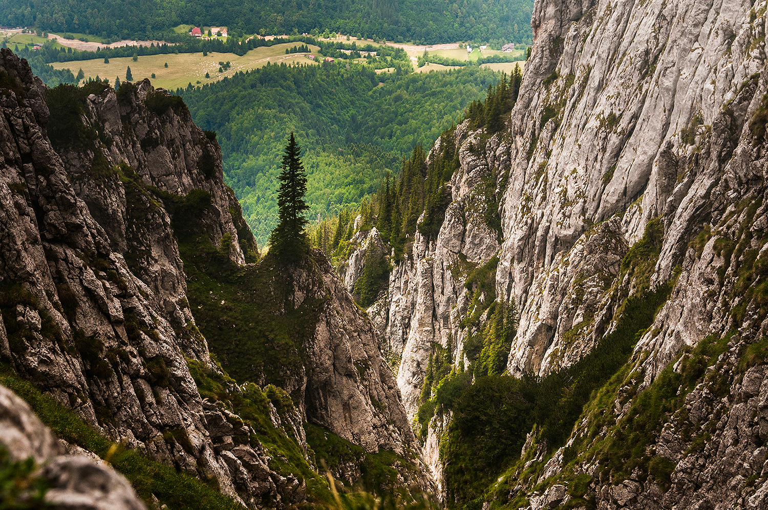 Piatra Craiului