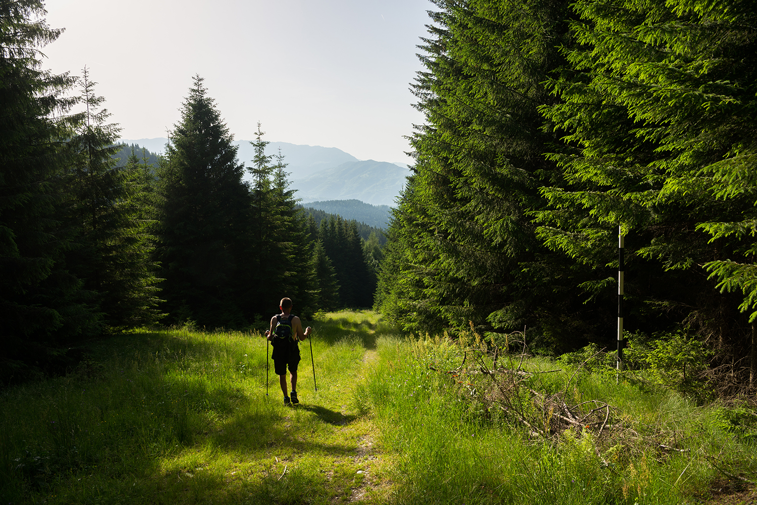  Munții Bucegi