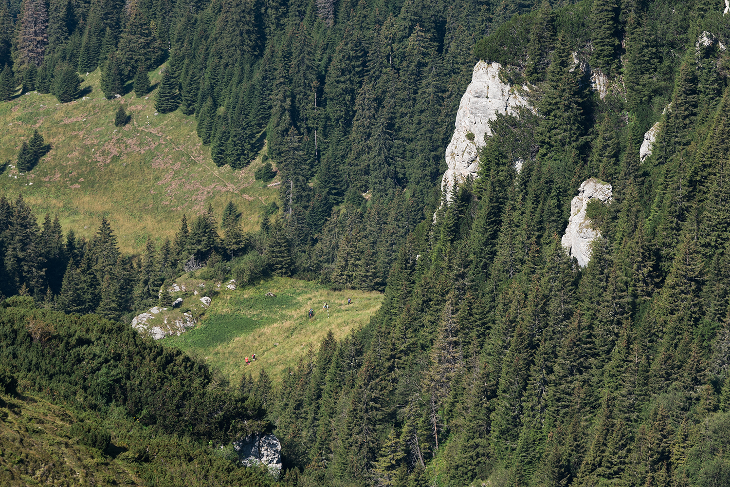 Munții Bucegi