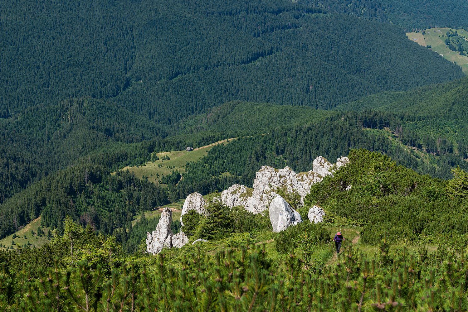  Munții Bucegi