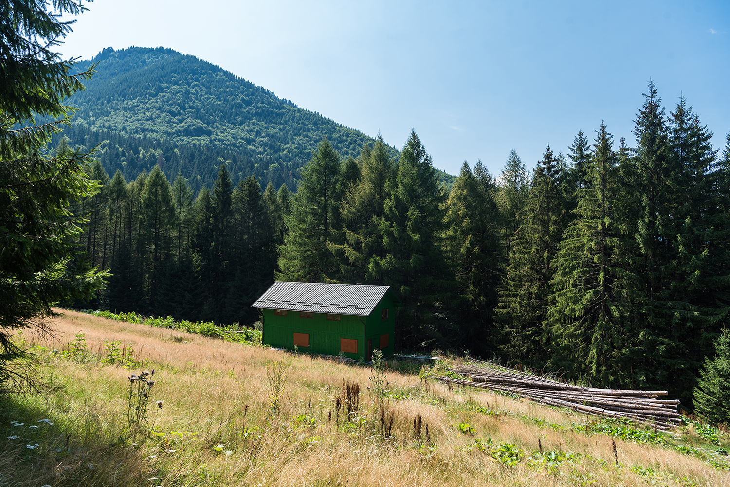 Munții Bucegi