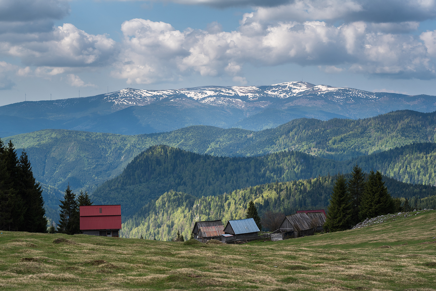 Munții Bihor