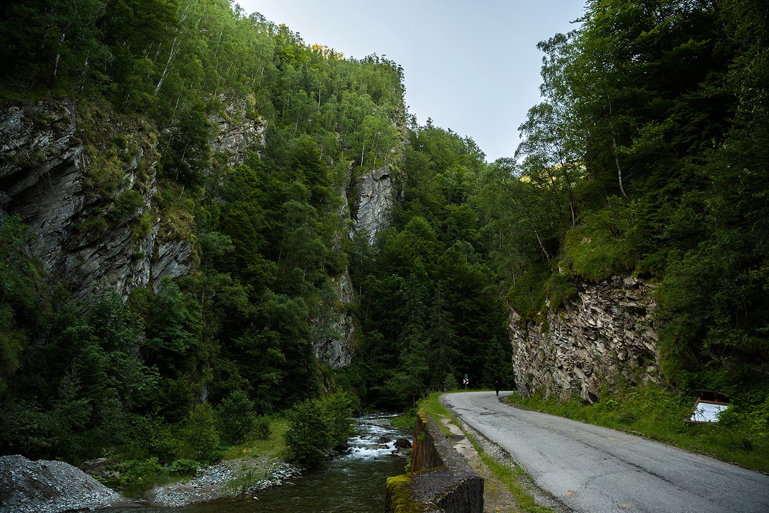 Munții Parâng