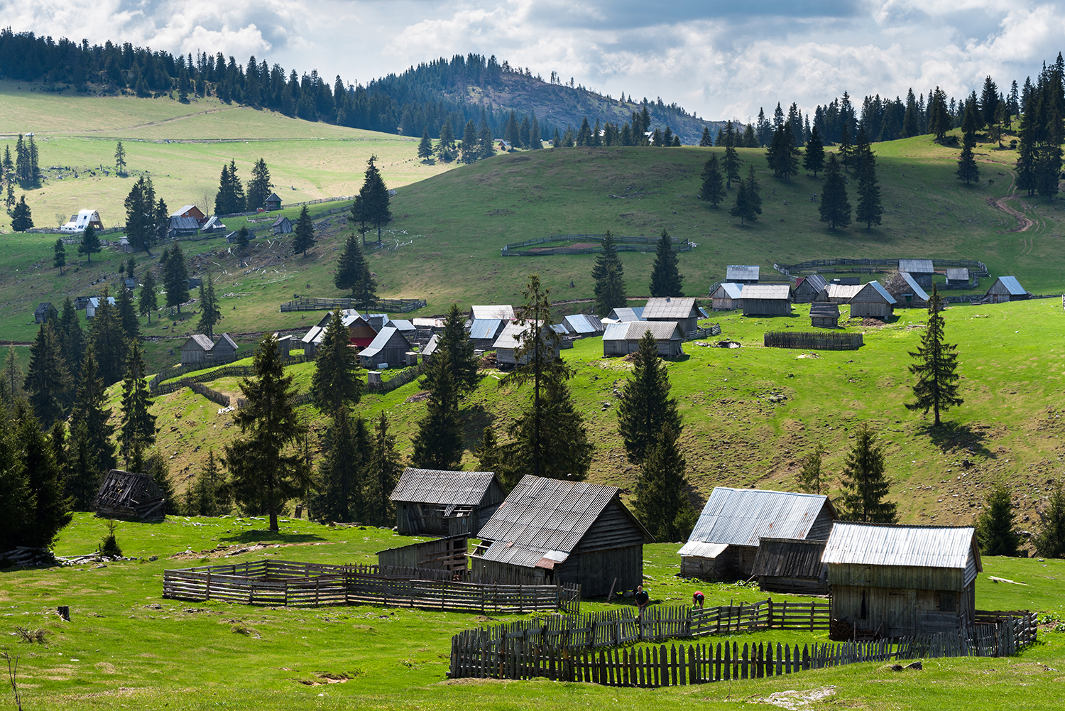 Padiș