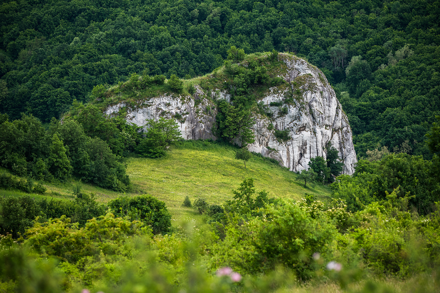 Munții Trascăului