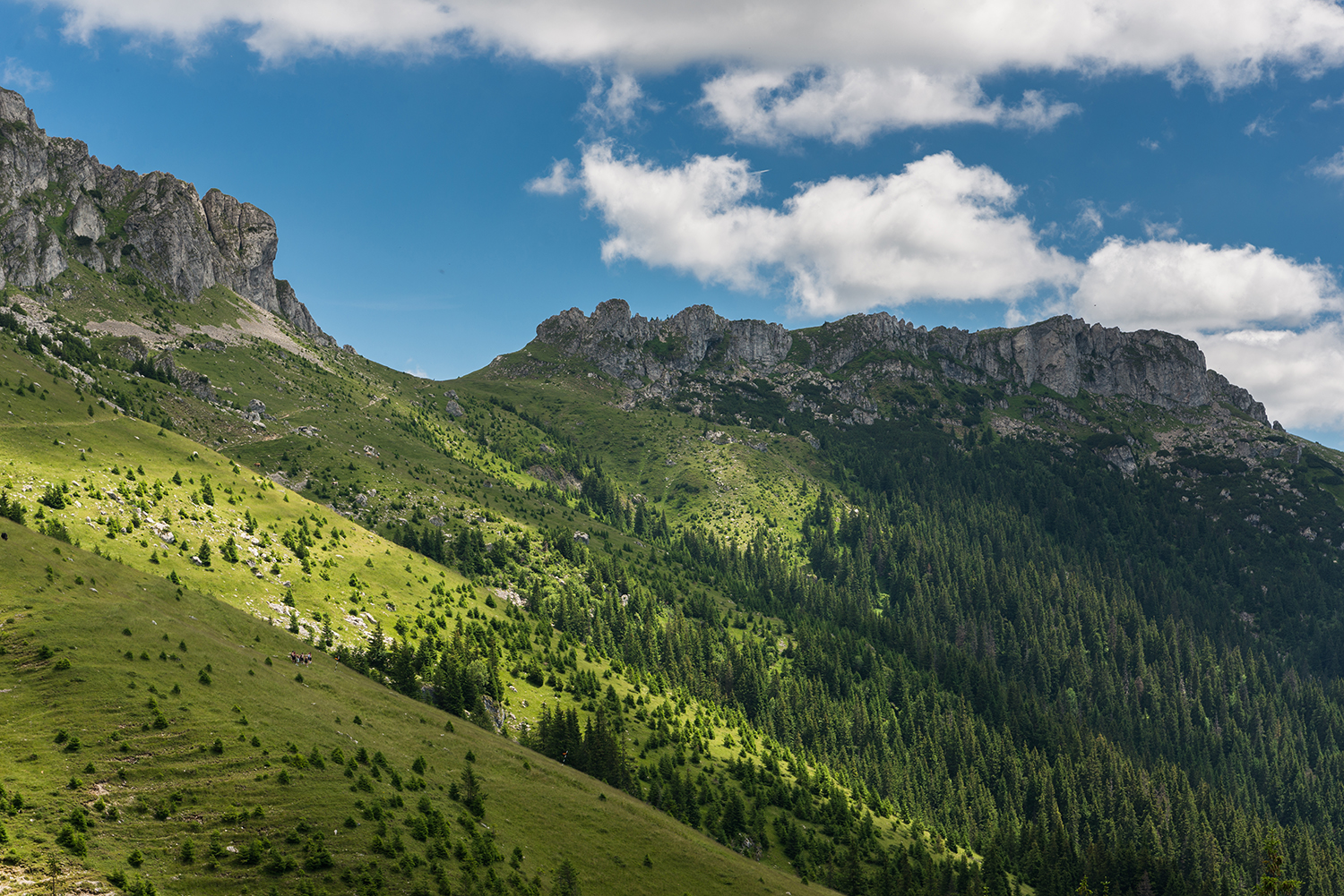  Munții Bucegi