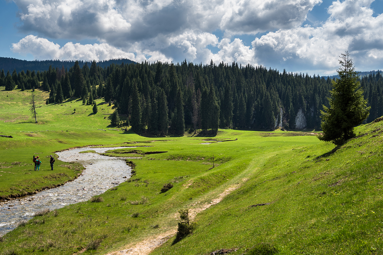 Padiș